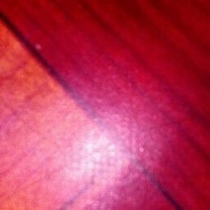 EMAWATI PARIS profile icon