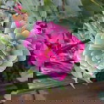 Andriyani profile icon