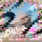 Mary Ann Posadas Lilang profile icon