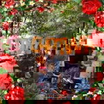 Sureeyana Binche-uma profile icon