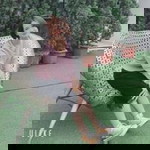 Hổ Nhép profile icon