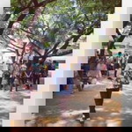 Puput Riyanti profile icon