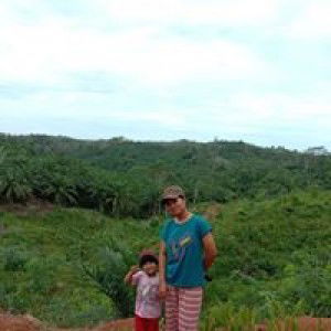 Nola Wanda Manik profile icon