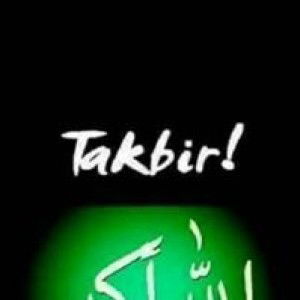 Anisatul Adiba profile icon