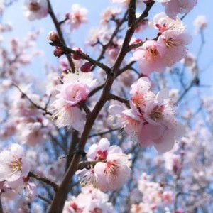 prapti winarsih profile icon