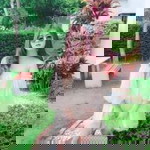 Pear Thanatcha profile icon