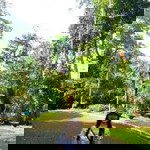 Stephanie profile icon