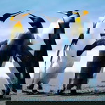 ณัฐวดี เหล็กกล้า profile icon