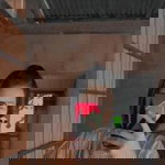 แนน'นน profile icon