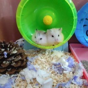 อาริตา เดชประเสริฐ profile icon