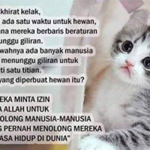 Erna Samsu profile icon