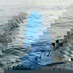 Santy Novaria profile icon