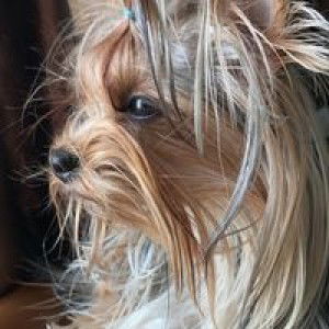 Sinnarate Charonemuang profile icon