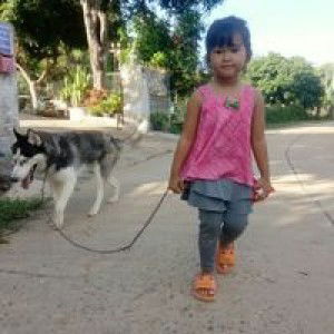 Atidtaya Klngwapi profile icon