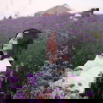 Sivarat Mittranon profile icon