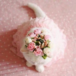 aqilah abdullah profile icon