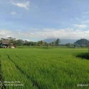 Aninayyafathiyyaturahmasofyan profile icon