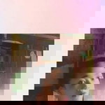 Erica Barili profile icon