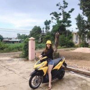 Hoàng Như profile icon