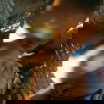 พัชรีย์ จันทร์จริง profile icon