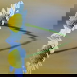 Gokila natarajan profile icon