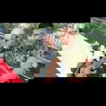 Viklal Aurora profile icon