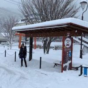 Akiko Jung profile icon