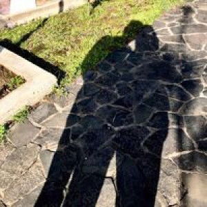 Selly Perwitasari profile icon