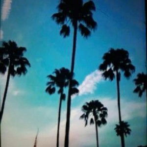 devi anita profile icon