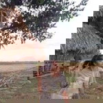 Karen Sedan II profile icon