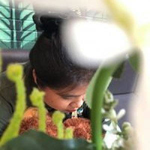 Phattarawan Nasrok profile icon