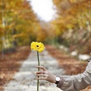 Vindy Mahardika profile icon