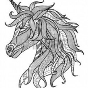 Noor Farzana Alia profile icon