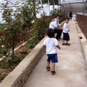 Strawberi Marsmallow profile icon