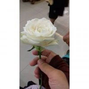 Septi Dwi Pratiwi hi Dr profile icon