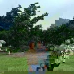 Naqiyyah Niqy Muhamad profile icon