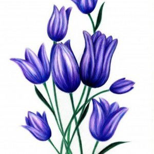 aishah burn profile icon