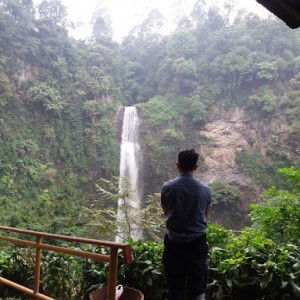 mister edsu profile icon