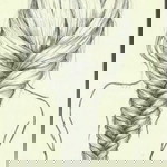 Novandayu Mulyantisa profile icon