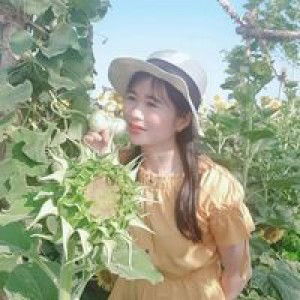 Phan Nguyen profile icon