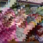 Mia Sari profile icon