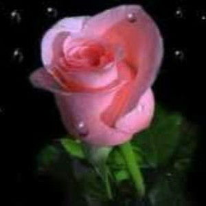 Vivi Andaryani profile icon