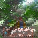 Mae Molavin profile icon