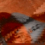 Pamela Jane Molina profile icon