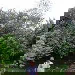 Supi Saipul profile icon