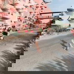 Loun Phengsavth profile icon