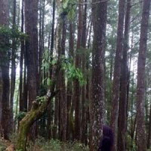 Risna Risna profile icon