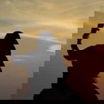 Maryam Abidin Pano profile icon