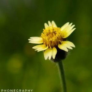 miRna Hamdan profile icon