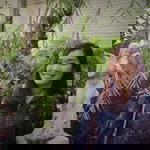 Jan Chana profile icon